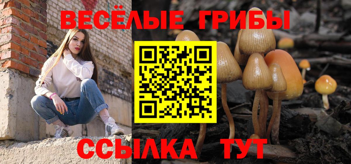 Галлюциногенные грибы ЛСД  Вход с VPN  Ишим 