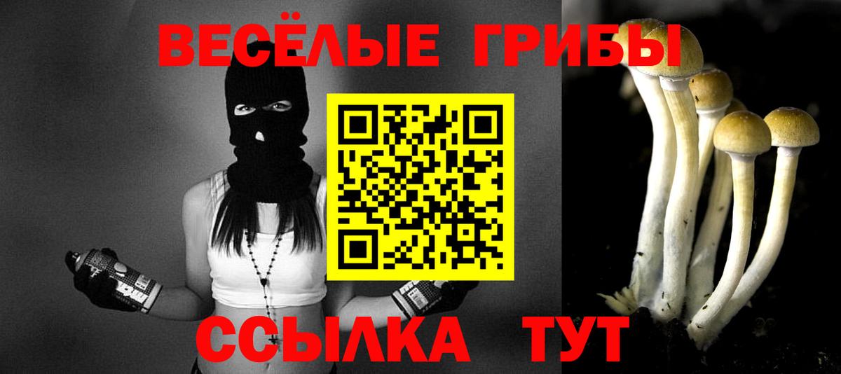 Галлюциногенные грибы GOLDEN TEACHER Ишим